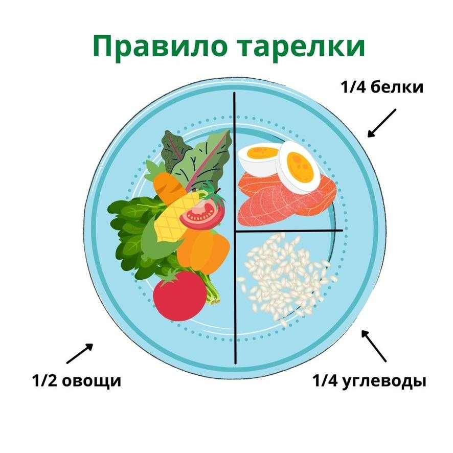 Схема здоровой тарелки с пропорциями продуктов